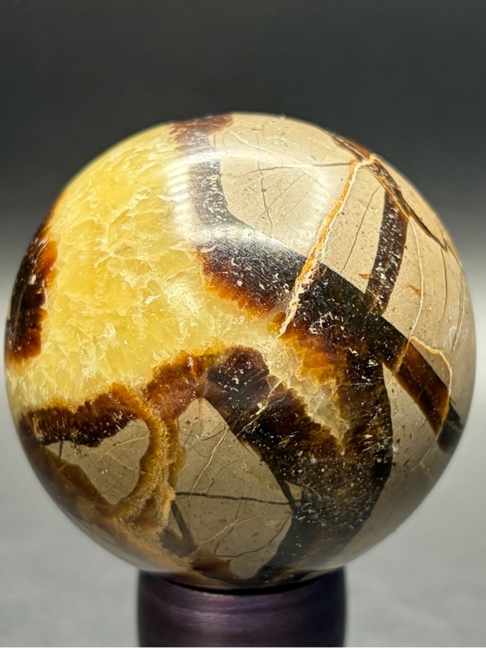 Natural Septarian Nodule Sphere - Yellow Brown Polished Display